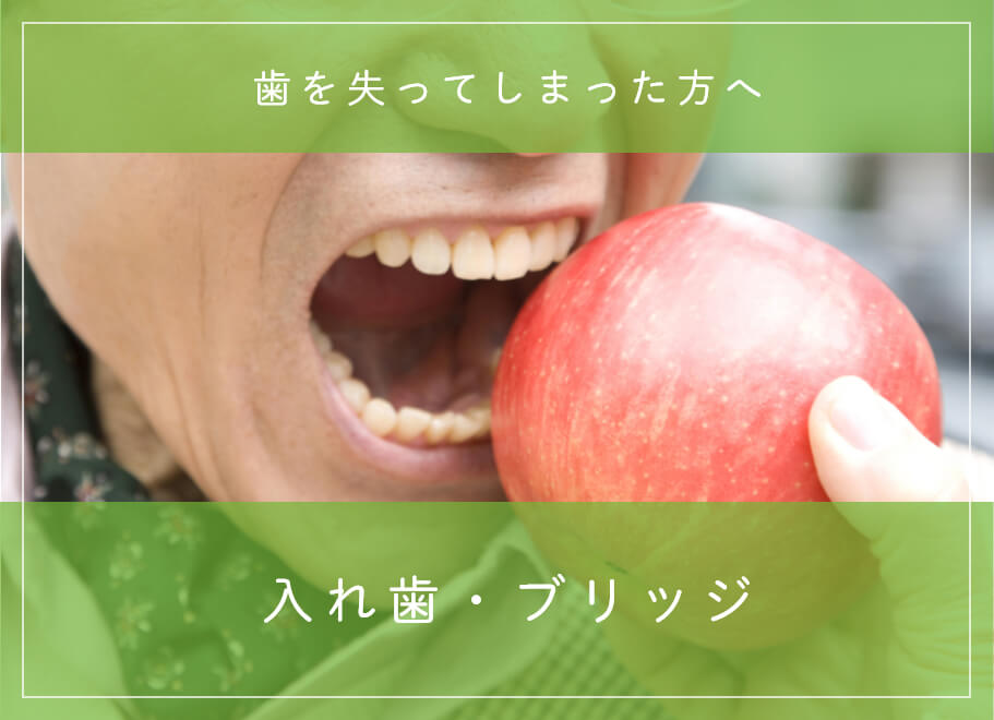 入れ歯・ブリッジ 歯を失ってしまった方へ