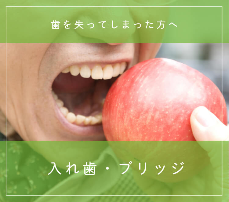 入れ歯・ブリッジ 歯を失ってしまった方へ